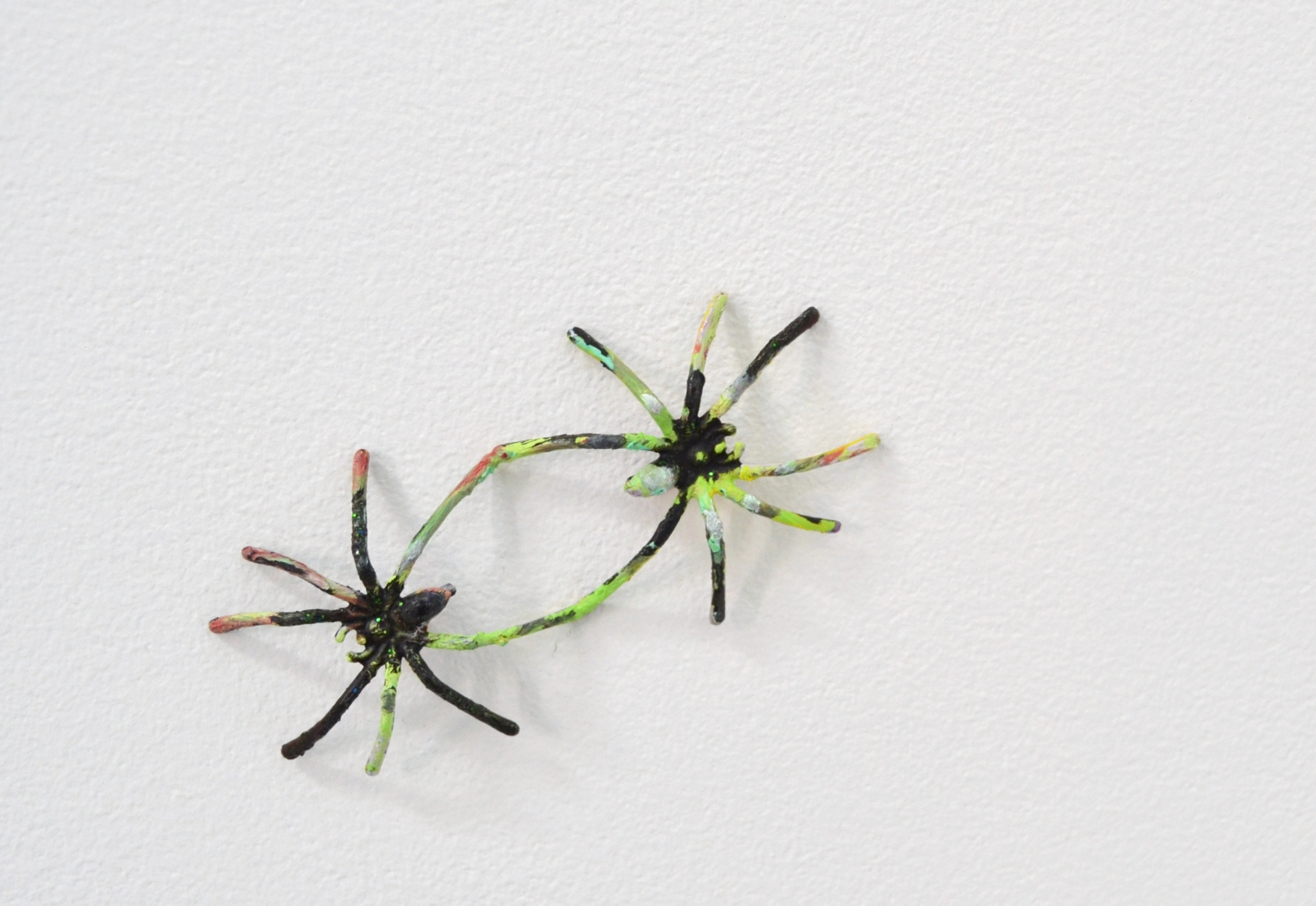 Spiders in a bag, 2014