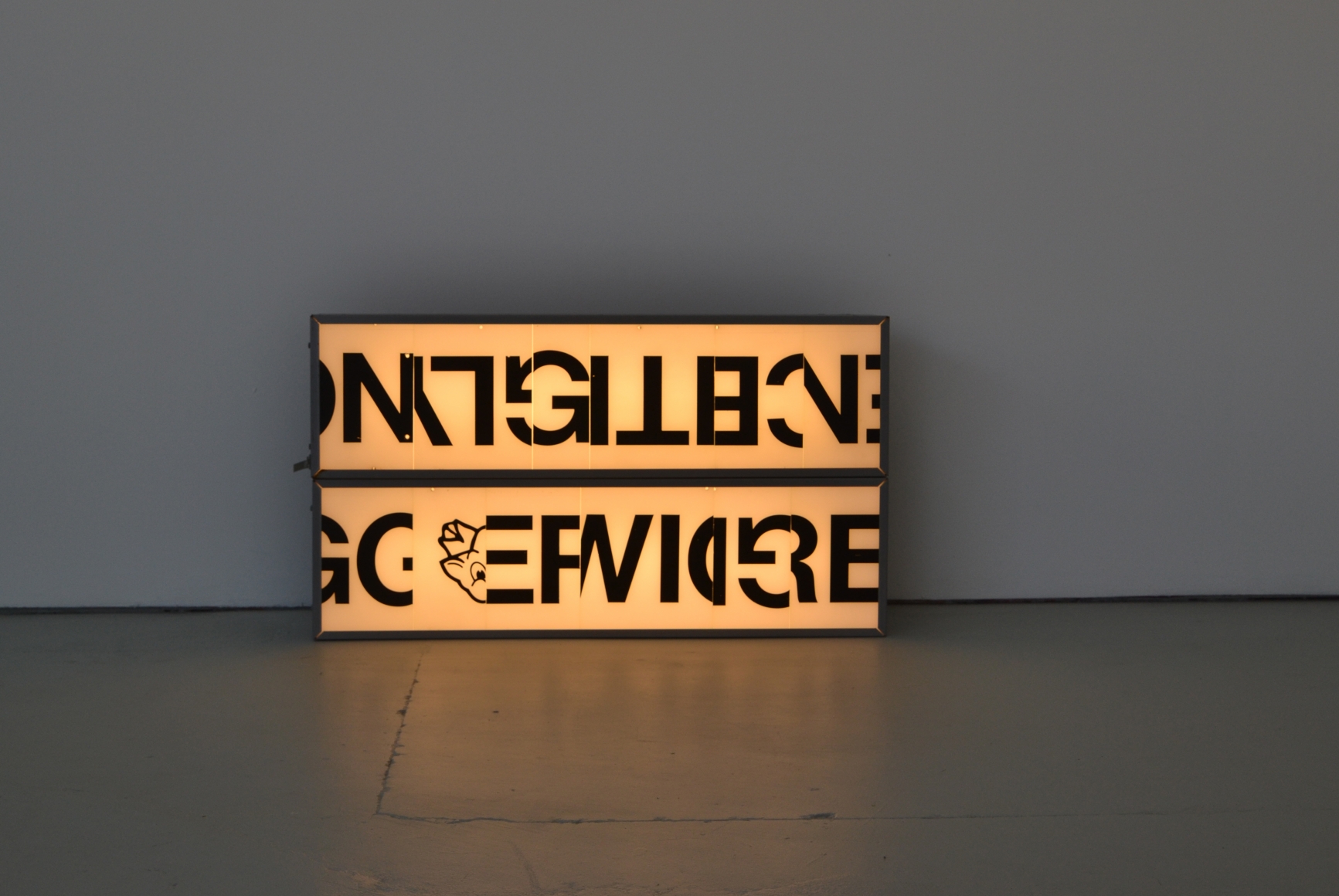 Lightbox with Pig, 2014